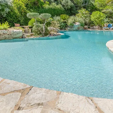 Pet Friendly In Roujan
